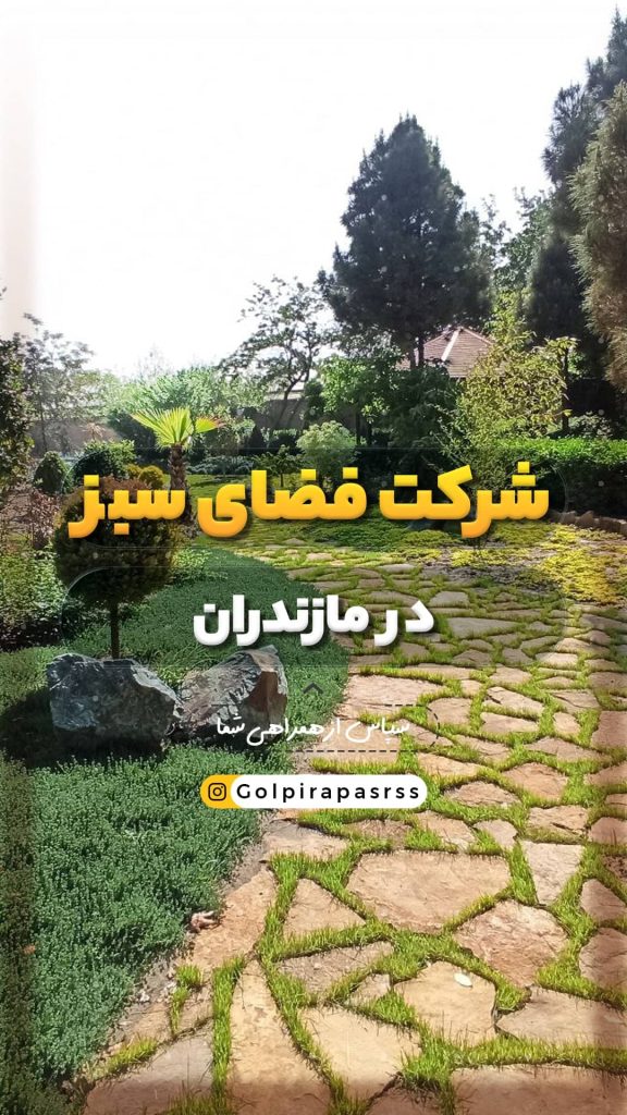 شرکت فضای سبز