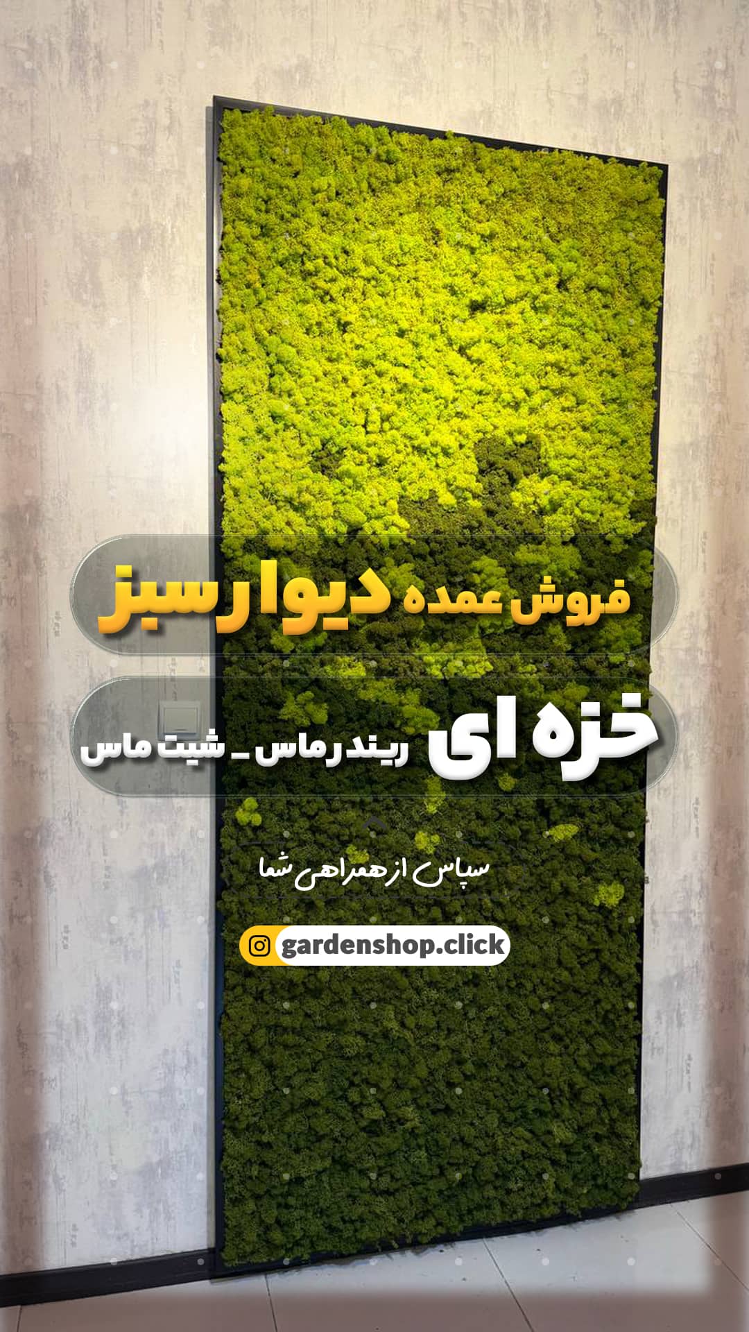 فروش عمده گرین وال خزه ای