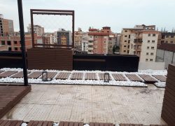شرکت فضای سبز